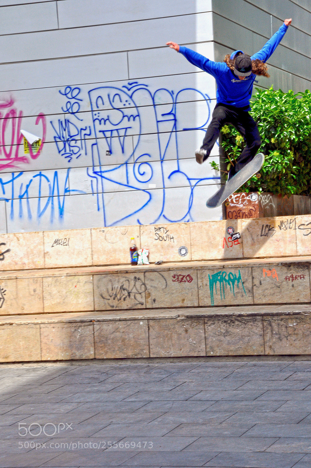 Nikon D90 sample photo. Untitled photography