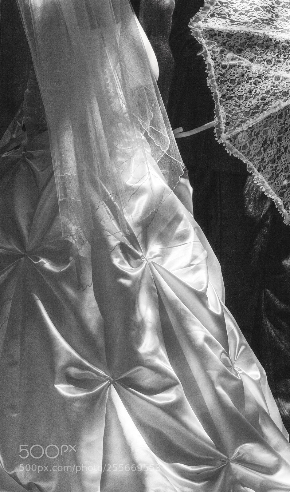 Canon EOS 5D Mark II sample photo. Veil photography