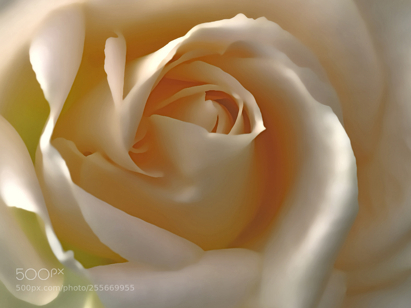 Nikon D3100 sample photo. Hazel beauty photography
