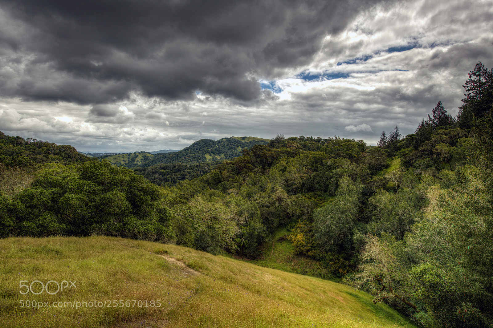 Nikon D850 sample photo. Lagunitas watershed photography
