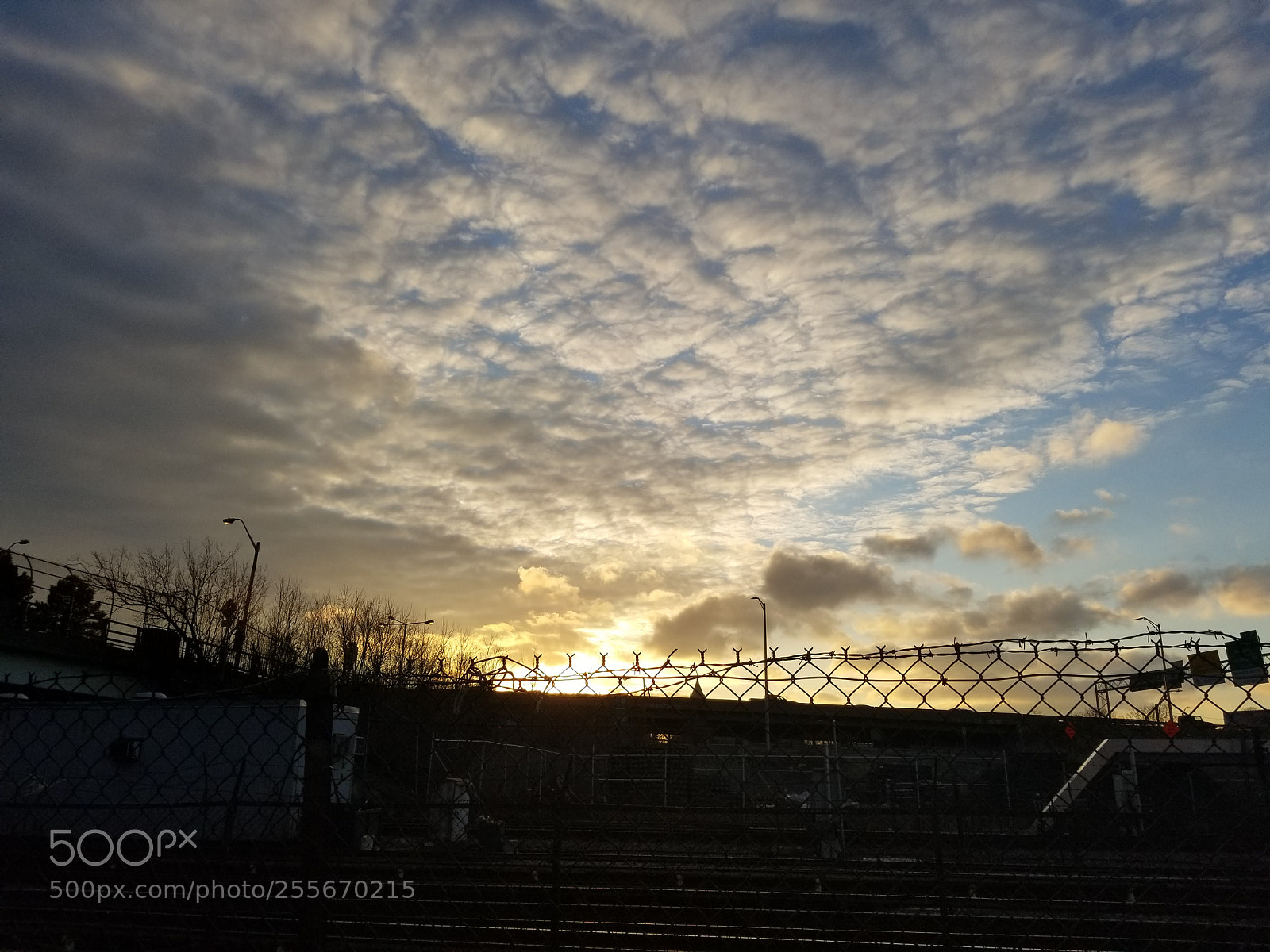 Samsung Galaxy S8 sample photo. 20180206_163943.jpg photography