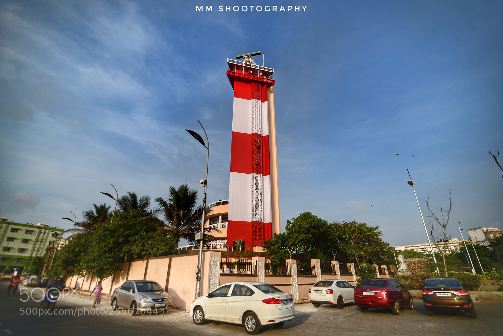 Nikon D610 sample photo. Watching tall photography