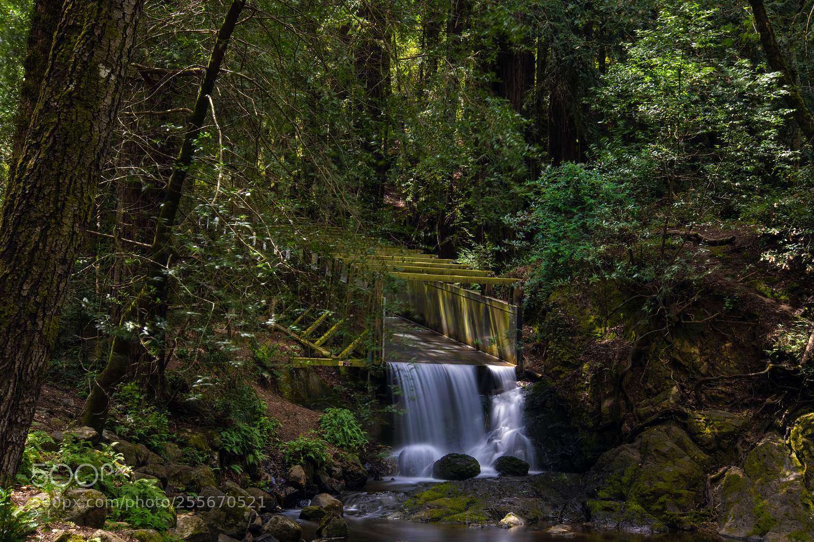 Nikon D850 sample photo. Lagunitas watershed photography