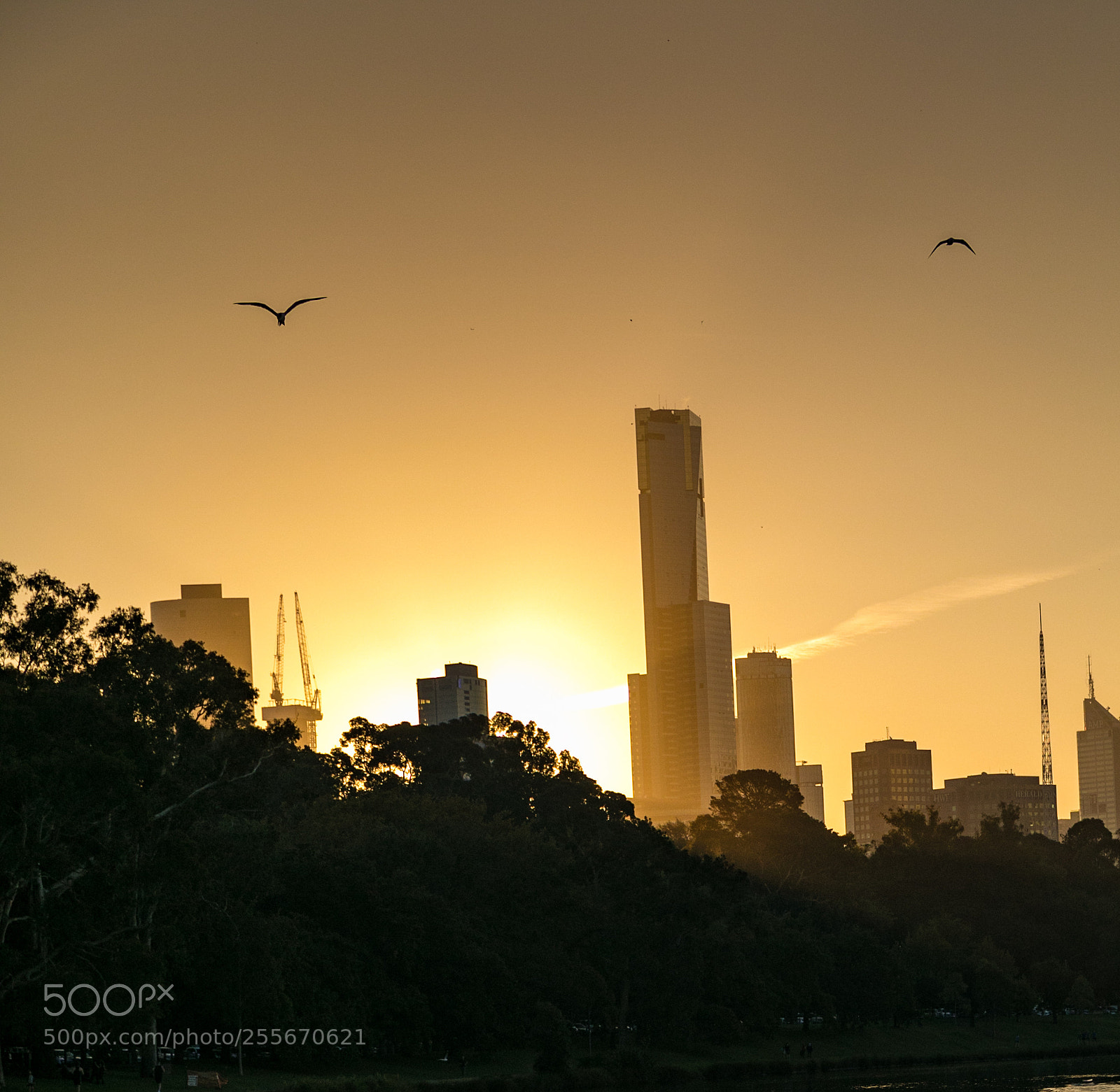 Canon EOS 5D Mark IV sample photo. Sunset melbourne cbd photography