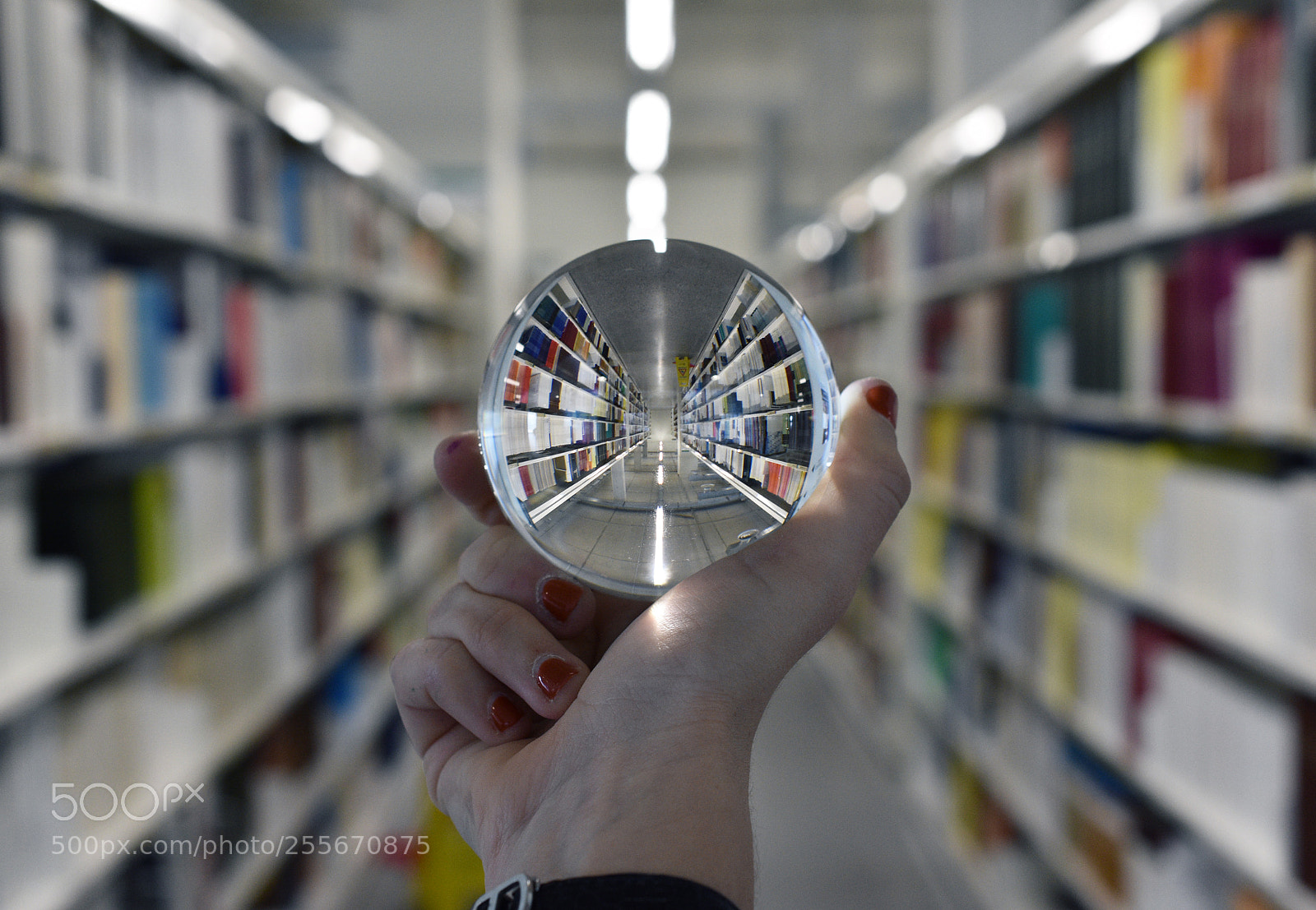 Nikon D7200 sample photo. The §ymetry library photography