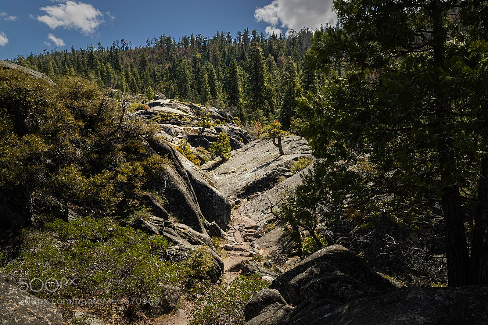 Canon EOS 6D Mark II sample photo. Hiking trail photography