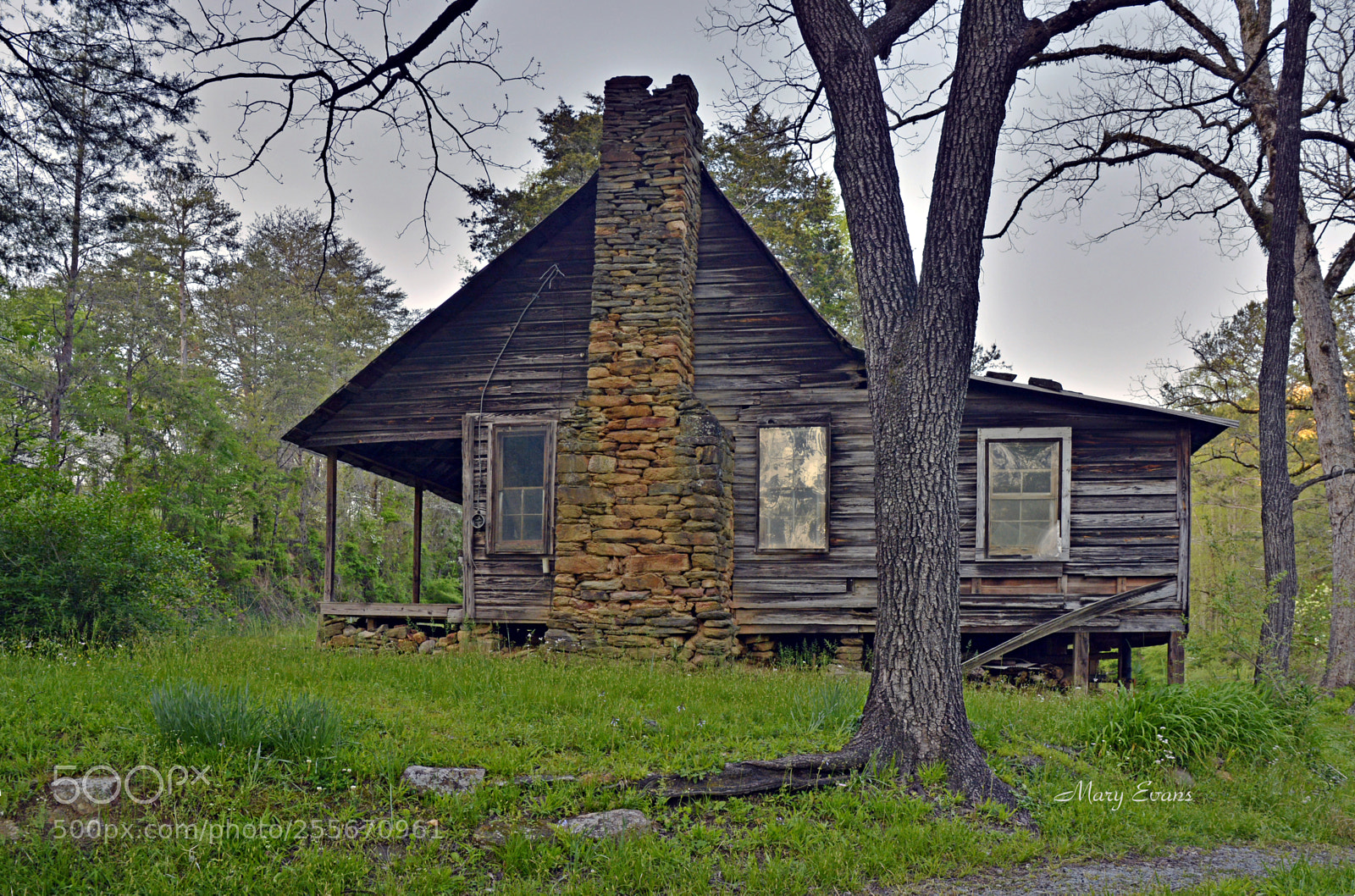 Nikon D7100 sample photo. Appalachian mountains homestead photography
