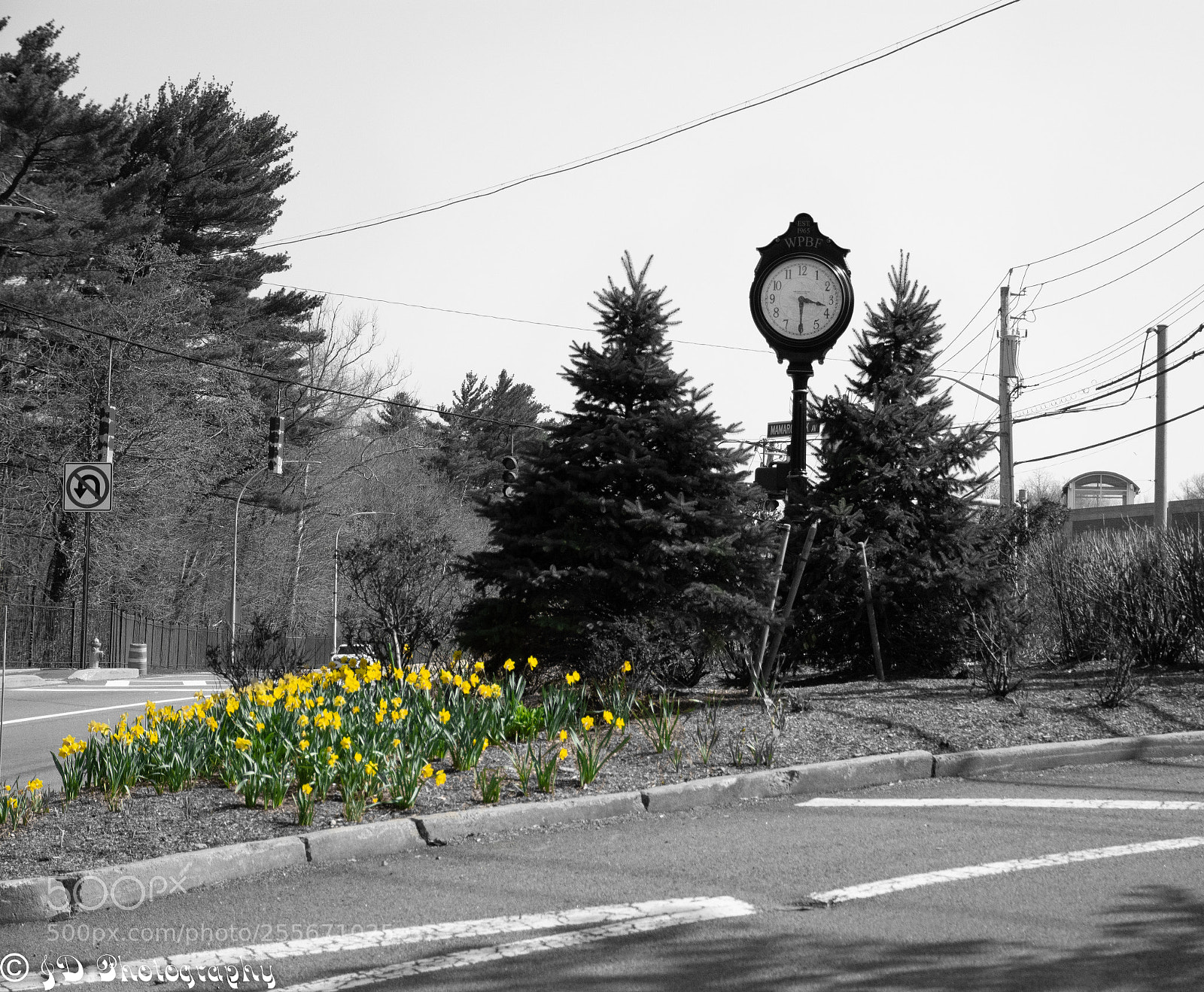 Nikon D7100 sample photo. Time is all yellow photography