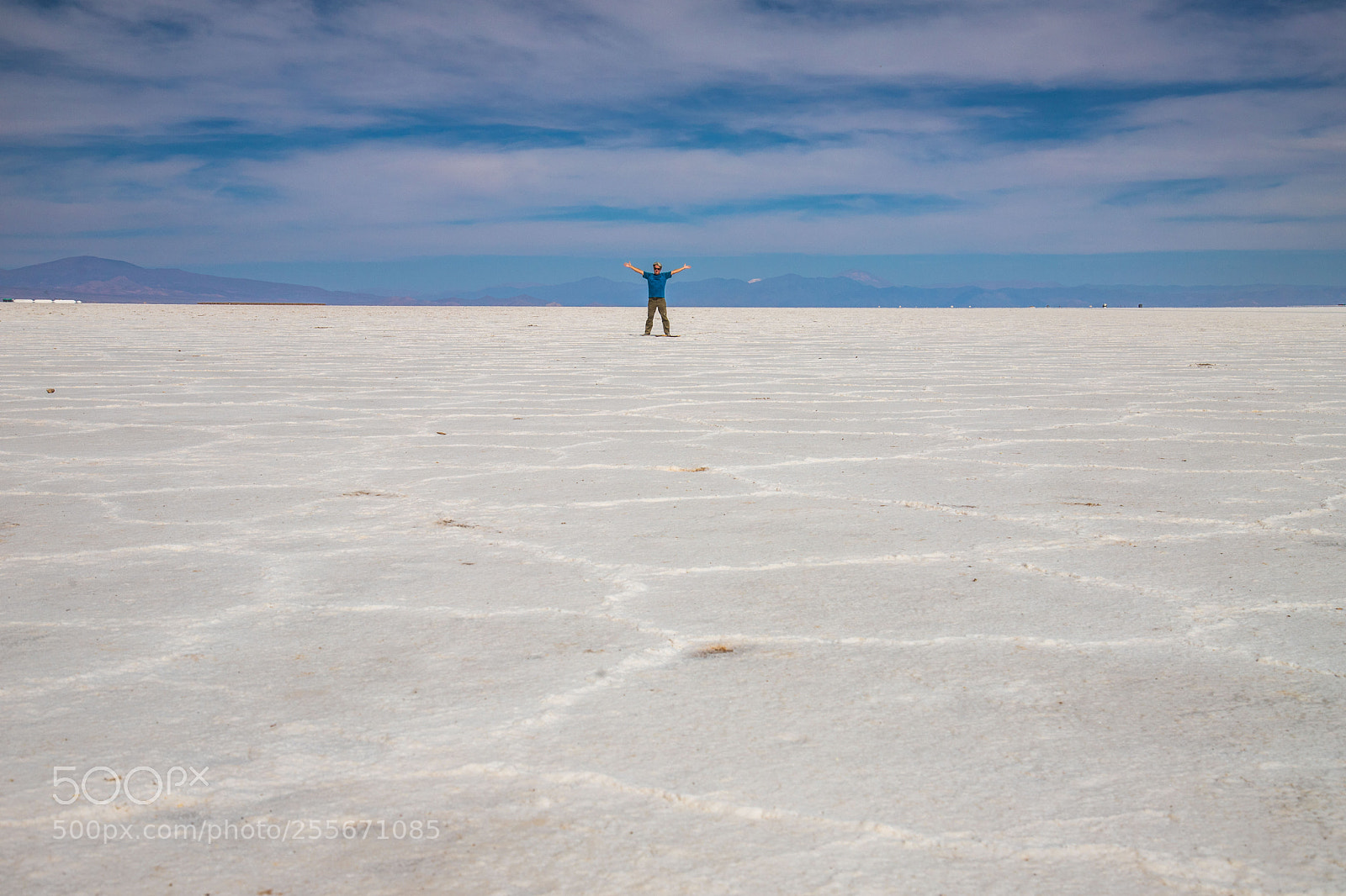 Canon EOS 6D Mark II sample photo. A sea of white photography
