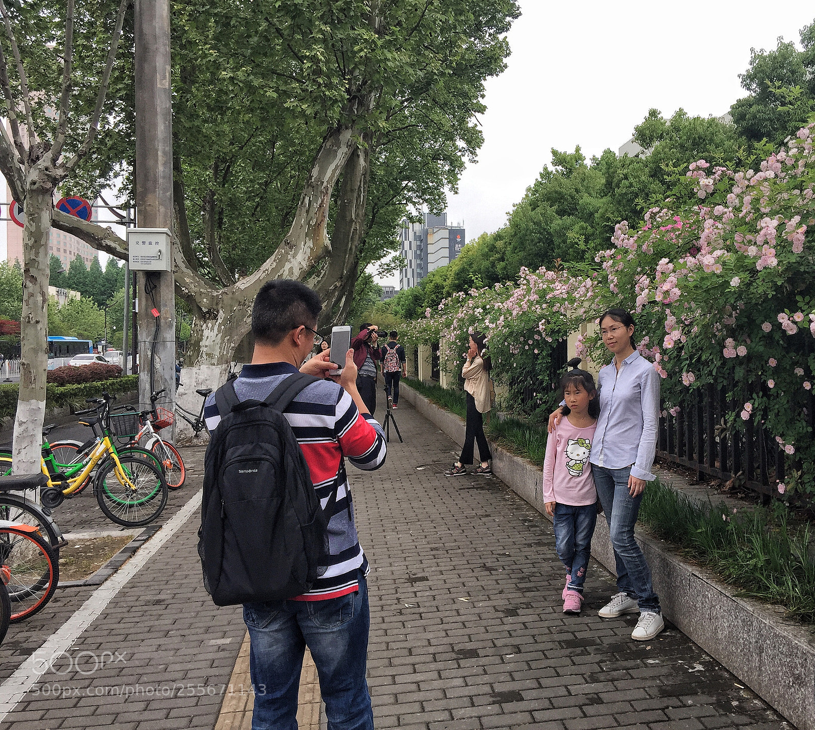 Apple iPhone 6 Plus sample photo. Untitled photography