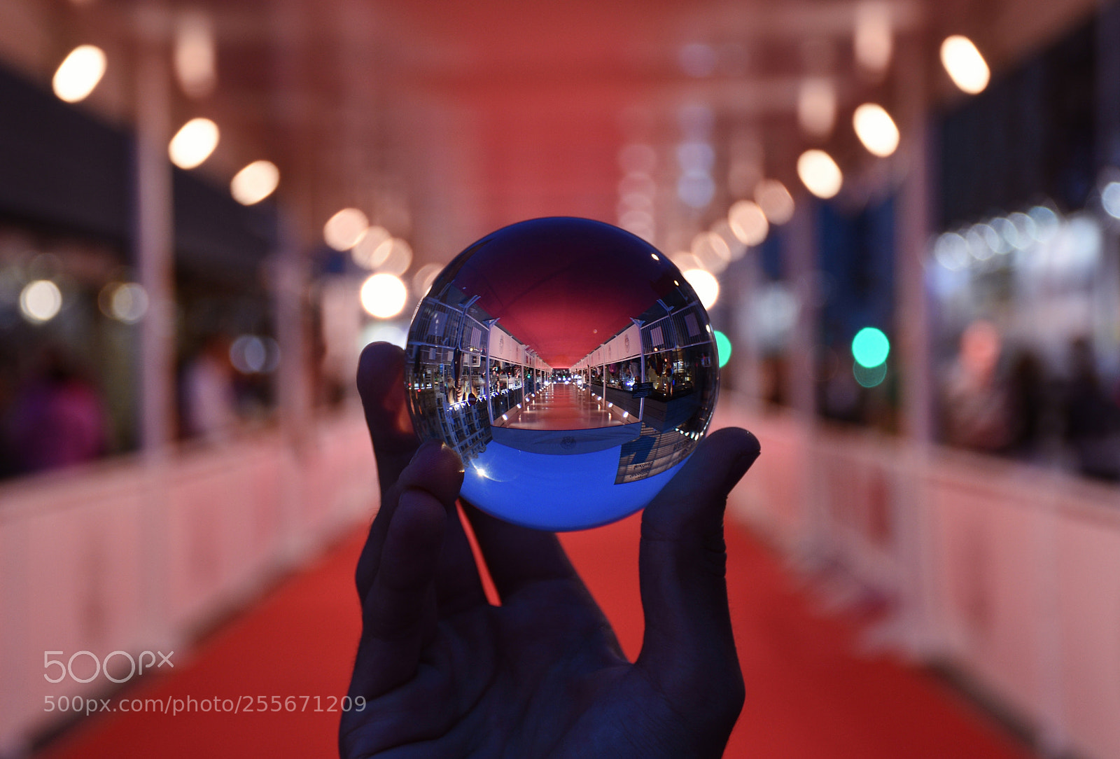 Nikon D7200 sample photo. Ball and passarella photography