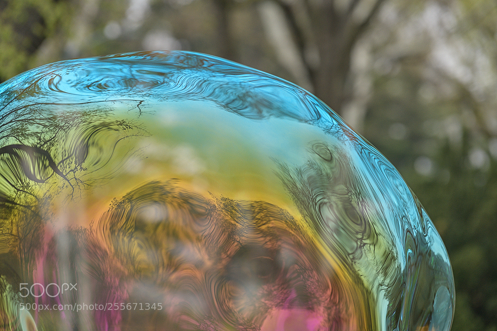 Nikon D850 sample photo. Central park bubble photography