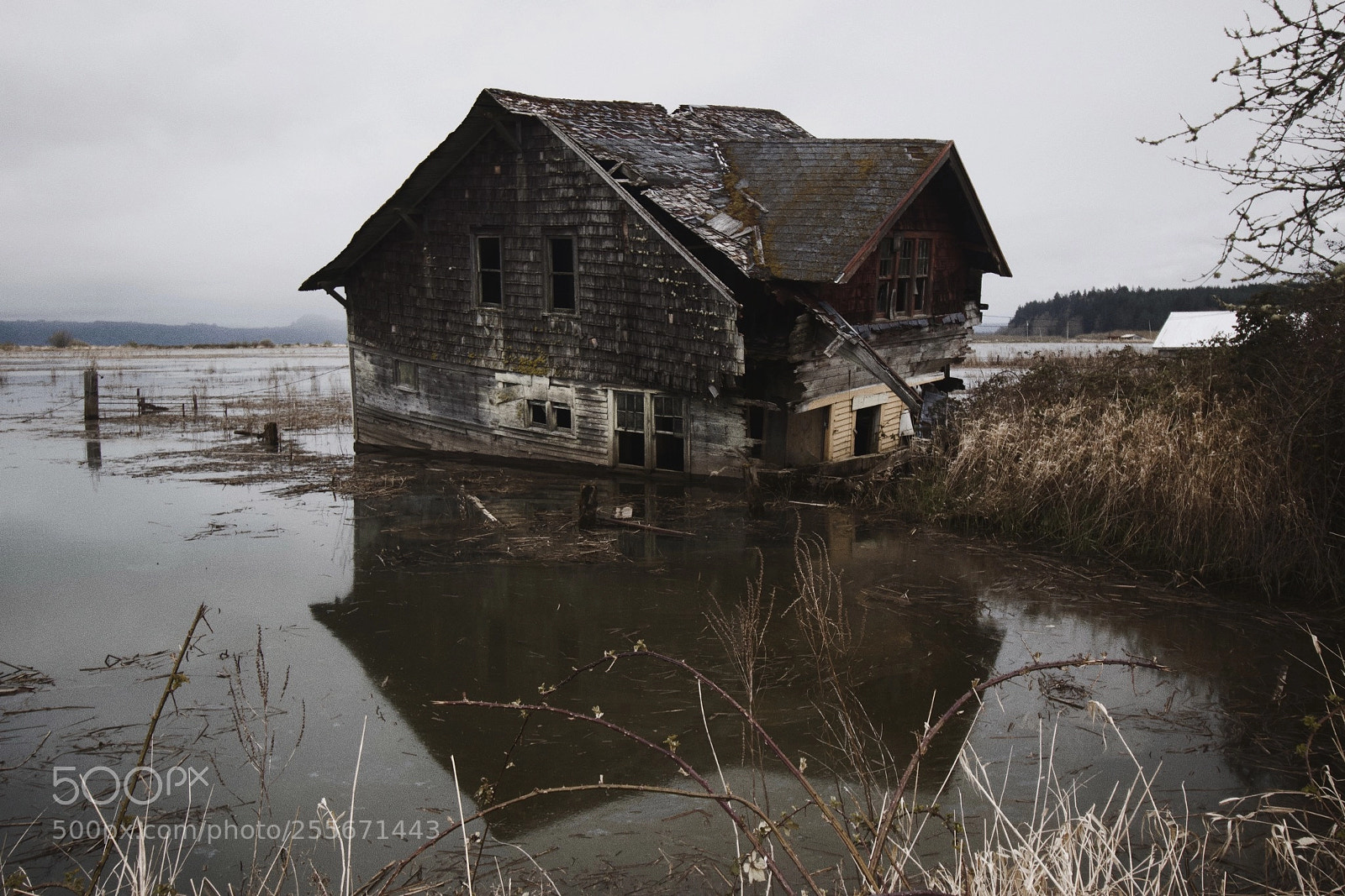 Canon EOS 70D sample photo. Svensen island photography