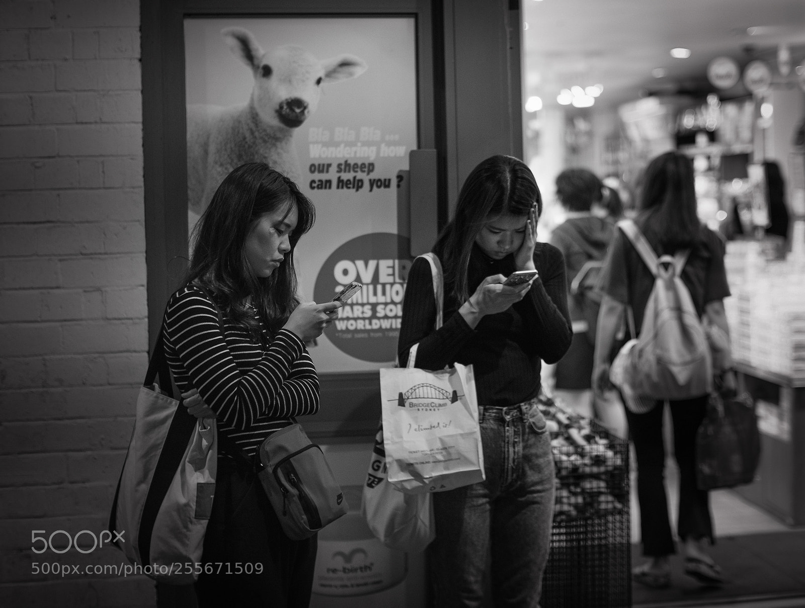 Fujifilm X-T2 sample photo. Baa baa baa? photography