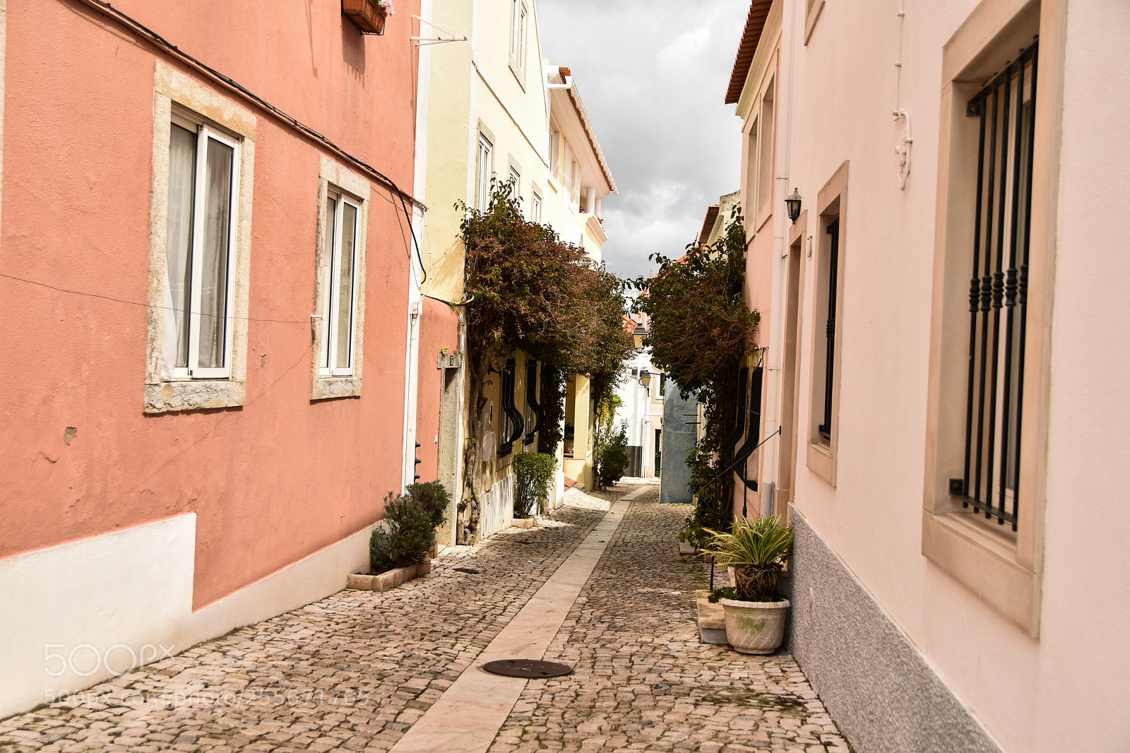 Nikon D5500 sample photo. Tiny pink street photography