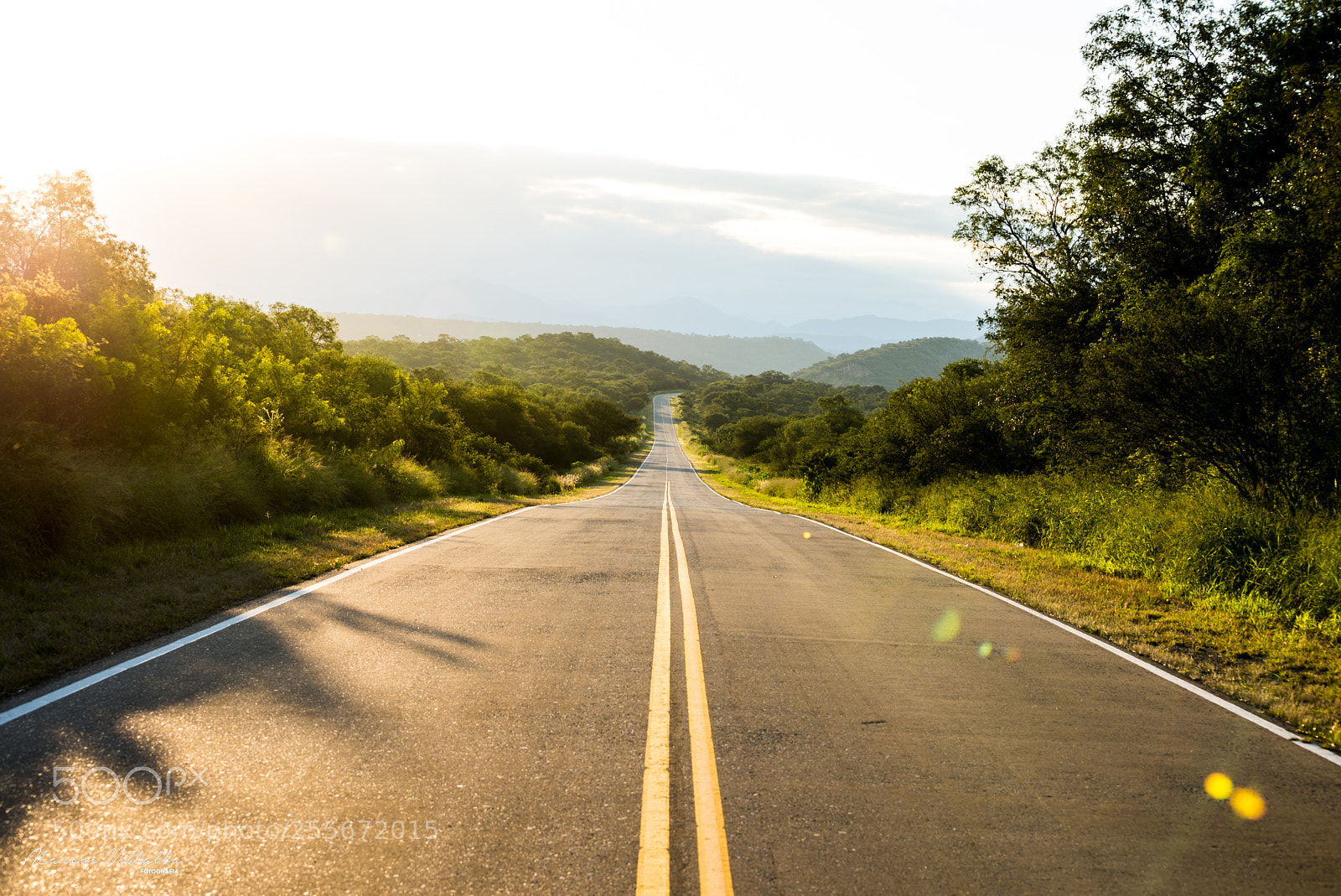 Nikon D610 sample photo. Camino a el sauce photography