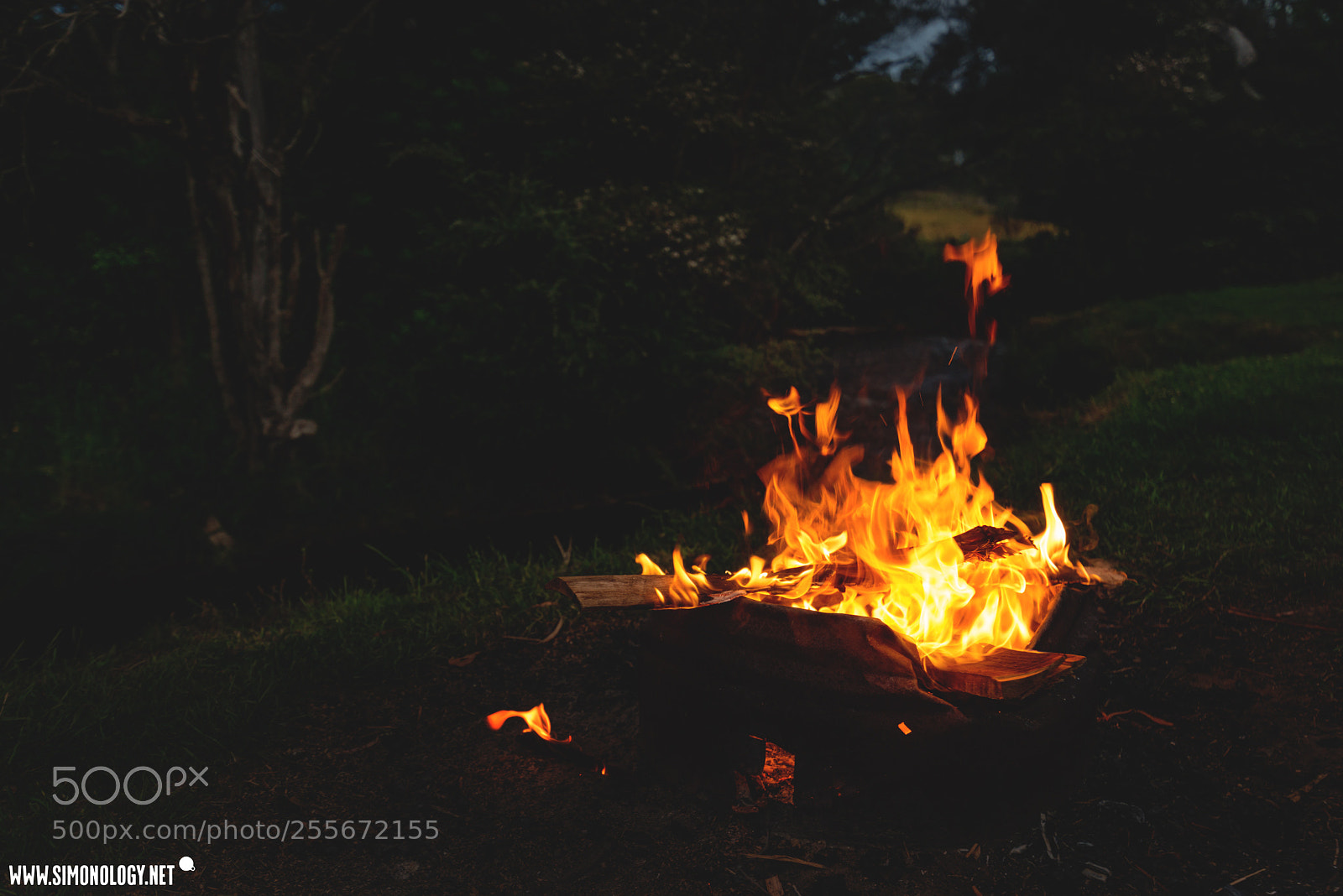 Nikon D800E sample photo. Campfire ❤️ photography