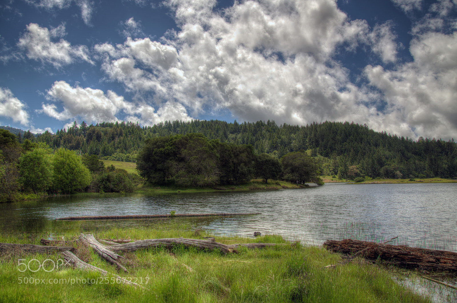 Nikon D850 sample photo. Lake lagunitas photography