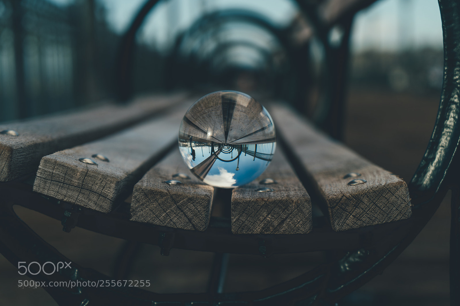Sony a7 III sample photo. Circles photography