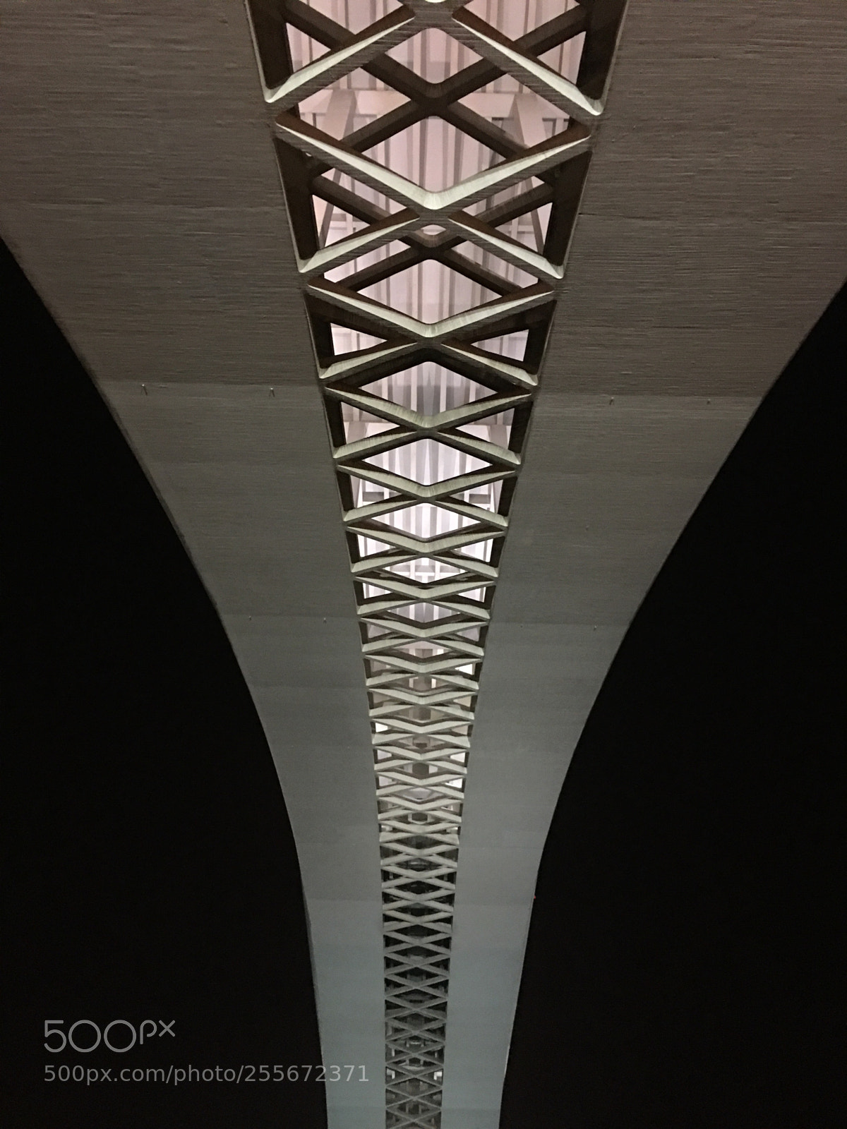 Apple iPhone 6s Plus sample photo. Untitled photography