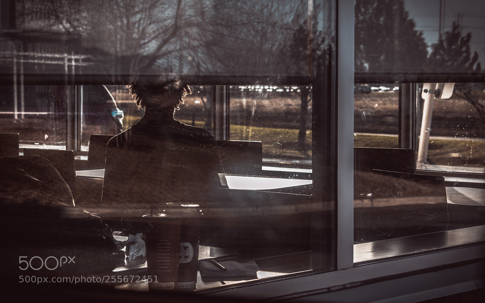 Nikon D5300 sample photo. Looking through the window photography
