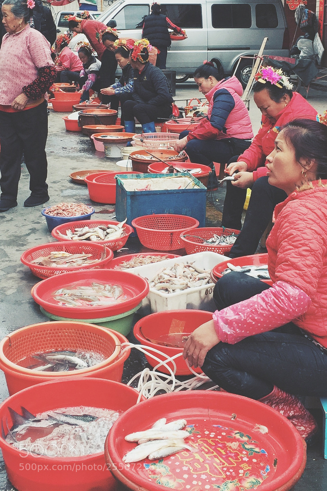Apple iPhone 6 Plus sample photo. Fish market photography