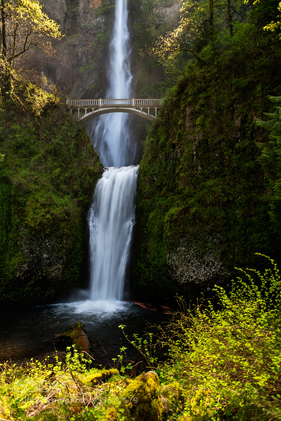 Nikon D500 sample photo. Multnomah falls photography