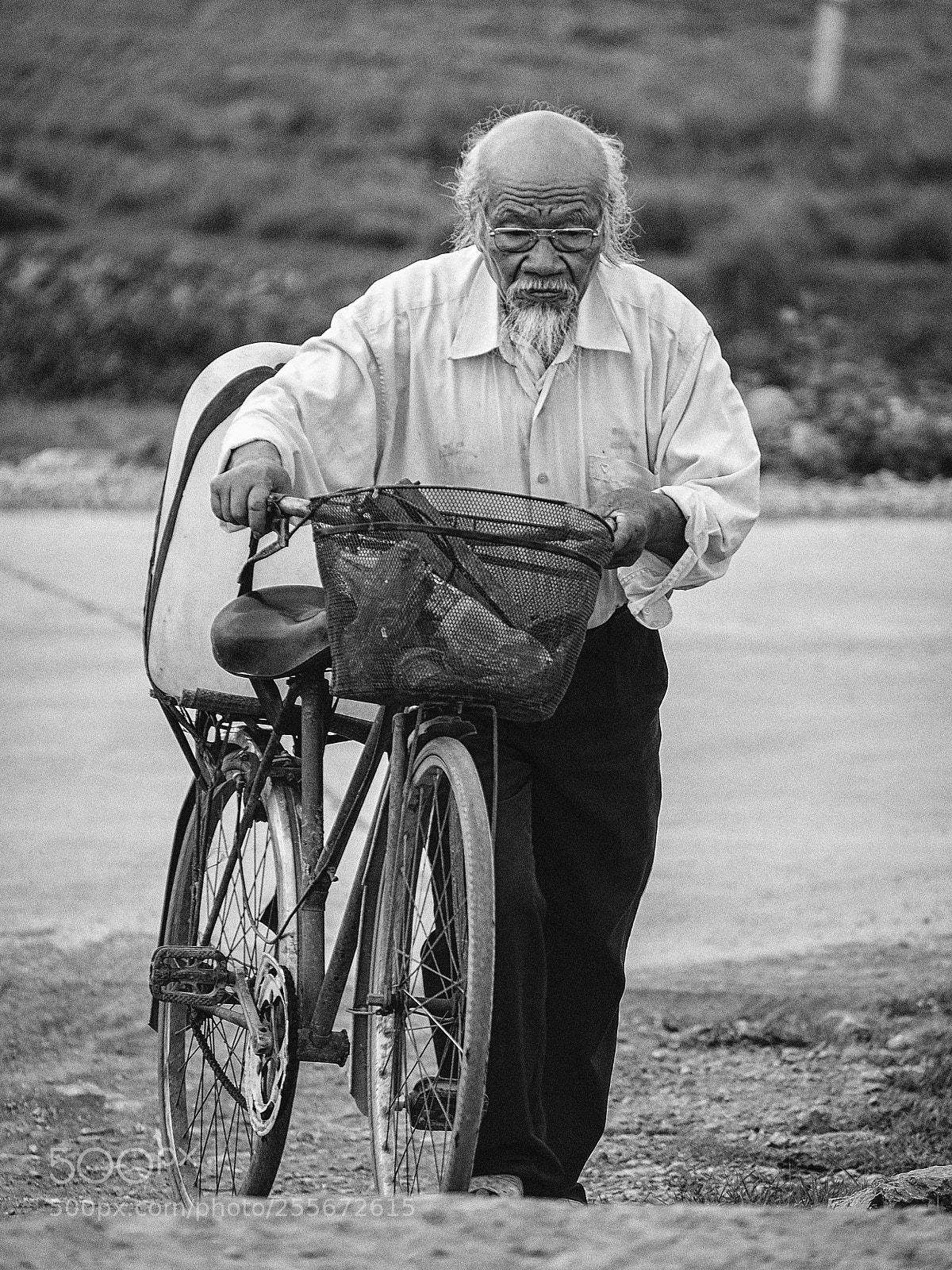 Fujifilm X-T2 sample photo. . photography