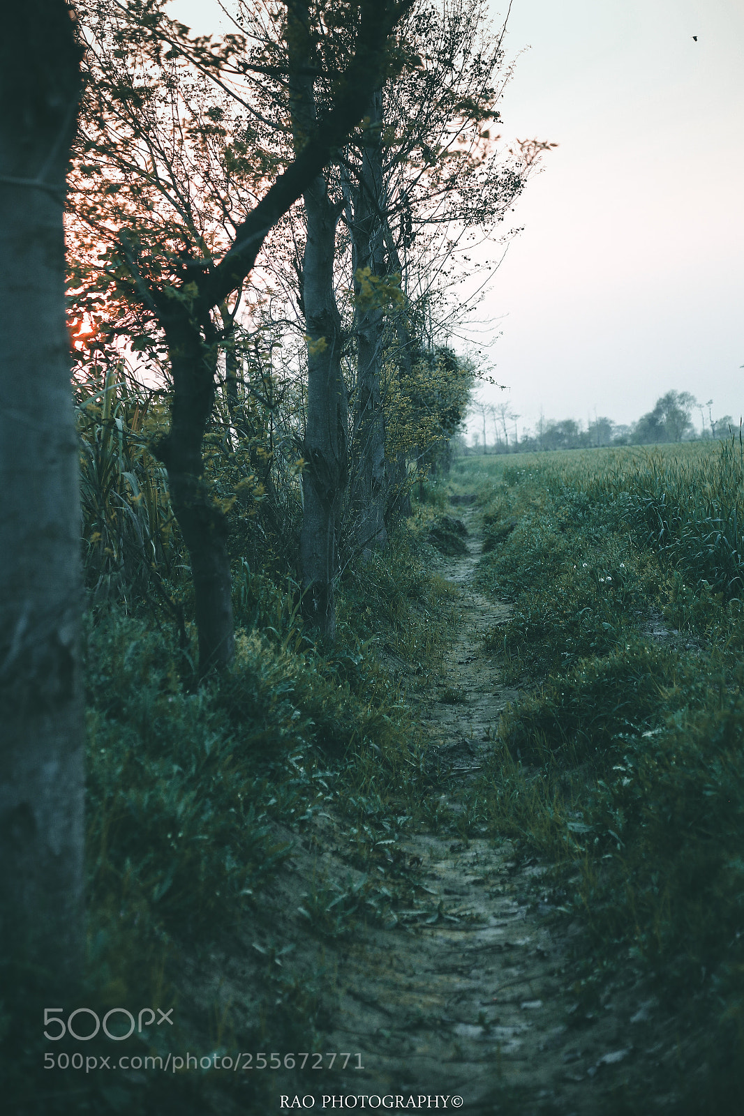 Canon EOS 6D sample photo. Lost ways photography