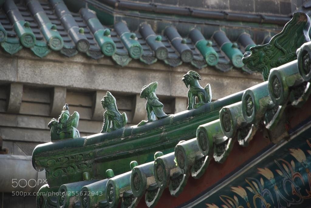 Nikon D80 sample photo. Untitled photography