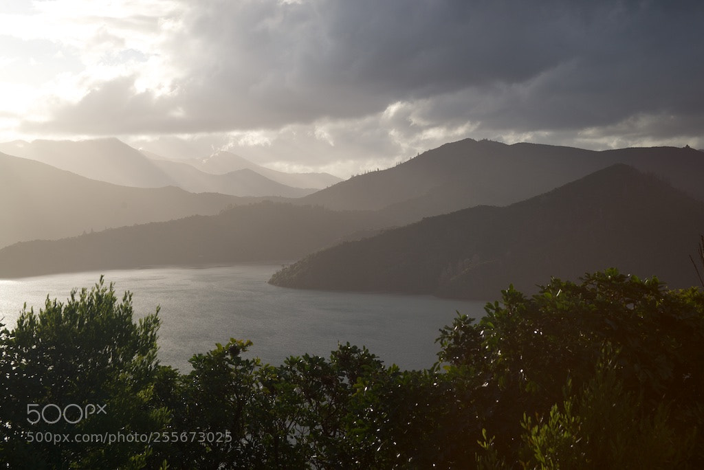 Nikon D600 sample photo. Marlborough sounds photography