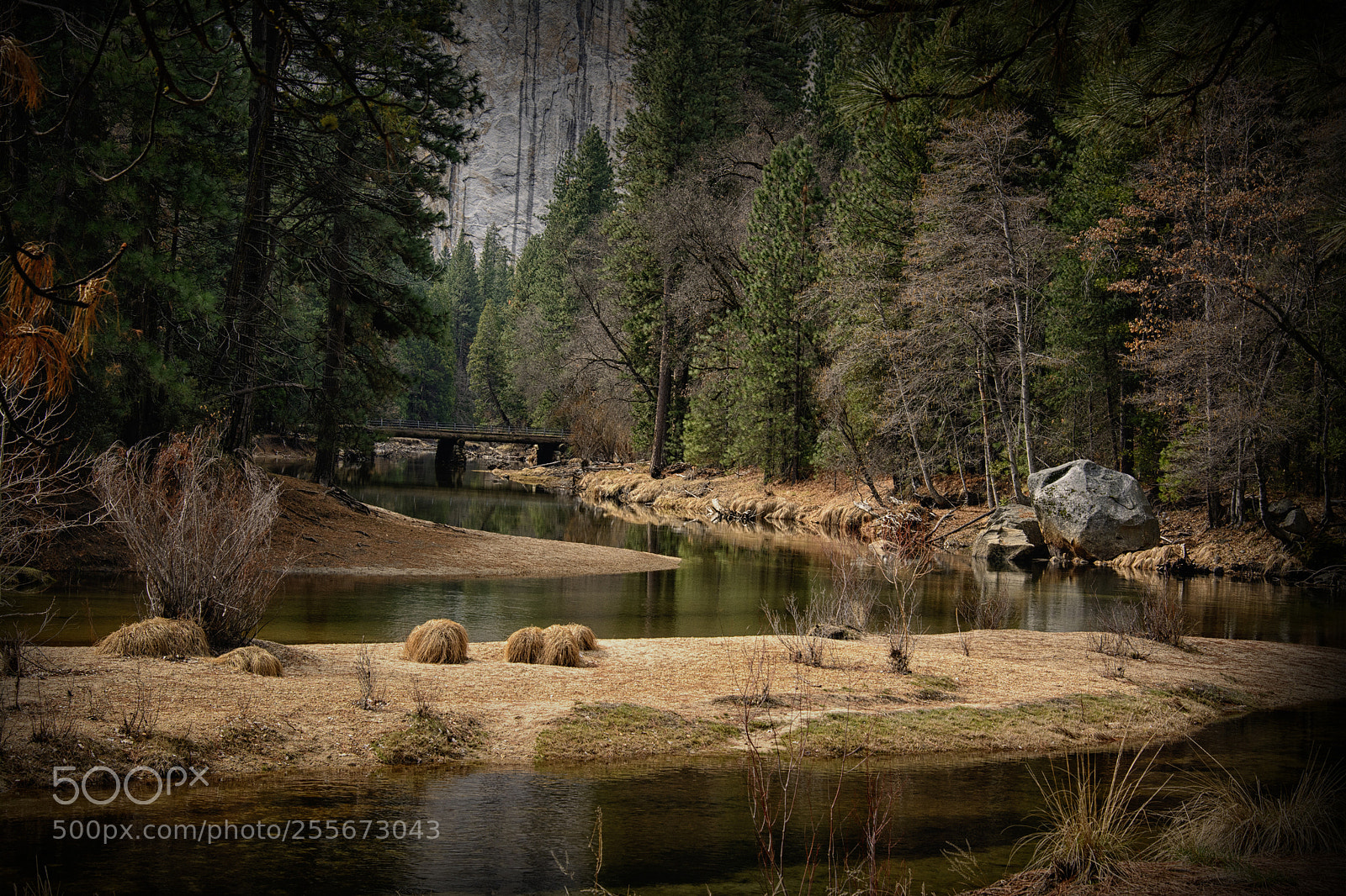Nikon D7100 sample photo. Serene running photography