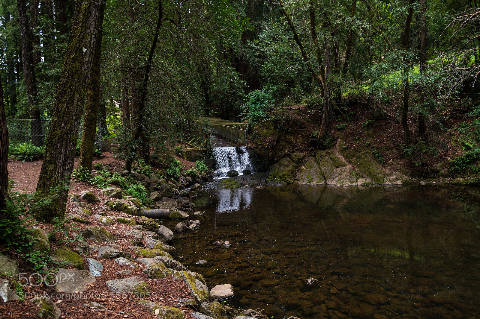 Nikon D850 sample photo. Spillway at lagunitas, ca. photography