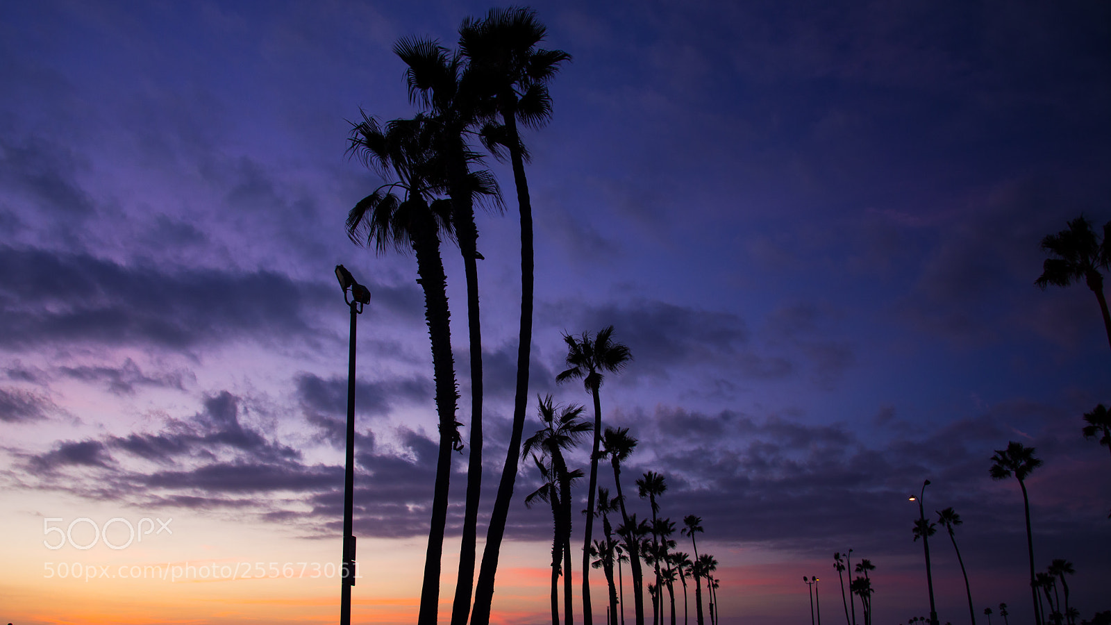 Nikon D7100 sample photo. Socal sunsets photography