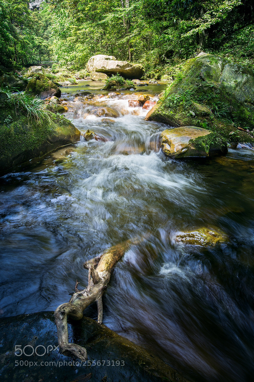 Canon EOS 6D sample photo. Golden whip brook photography