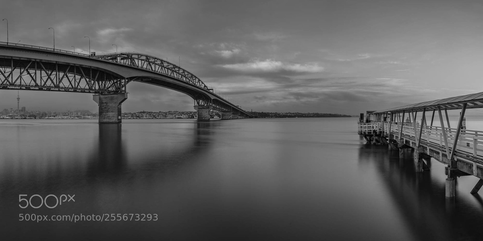 Hasselblad X1D-50c sample photo. Auckland harbour bridge photography
