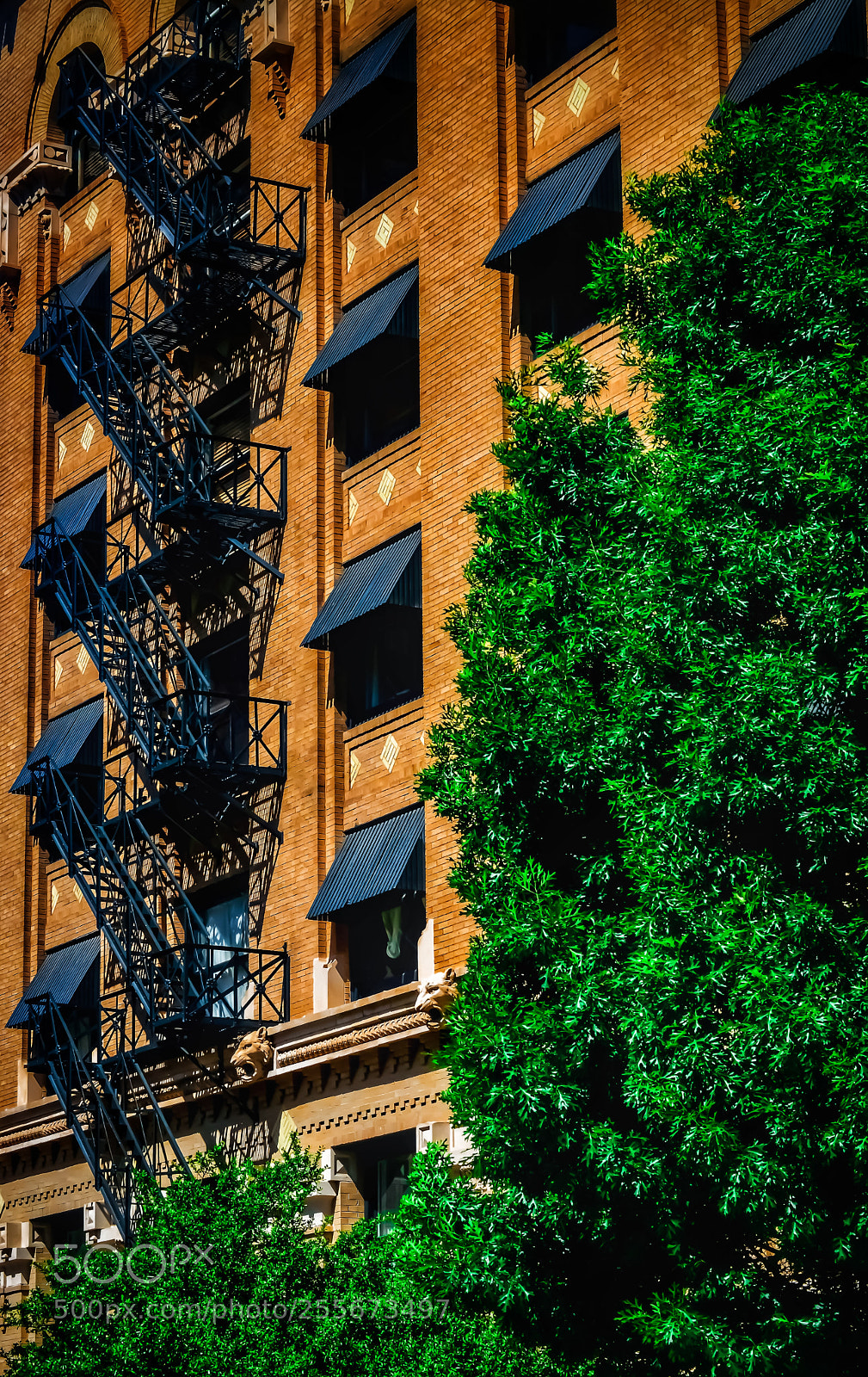 Nikon D3200 sample photo. Untitled photography