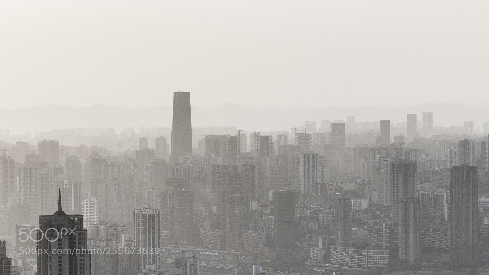 Sony a7R III sample photo. Untitled photography
