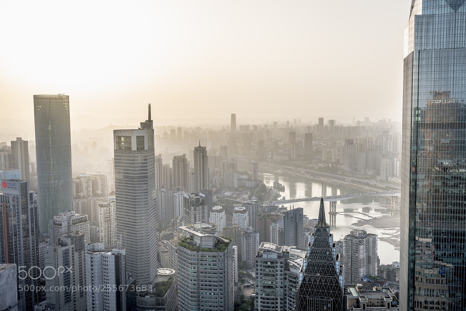 Sony a7R III sample photo. Untitled photography