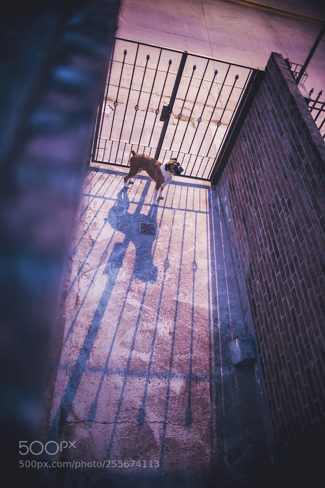 Canon EOS 6D sample photo. Ball photography