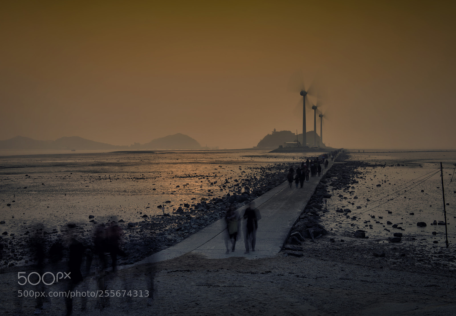 Nikon D800E sample photo. Ebb tide of the photography