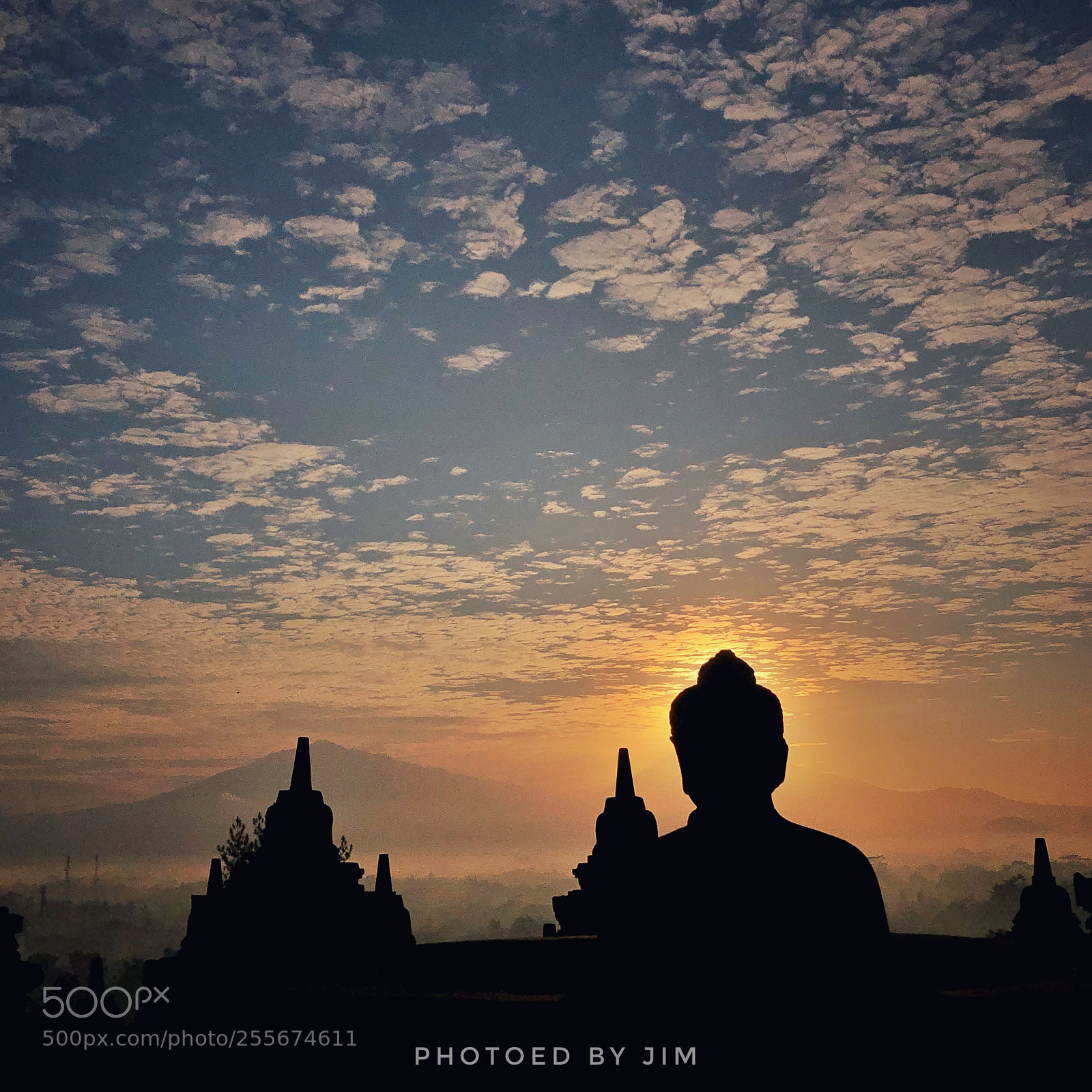 Apple iPhone 8 Plus sample photo. Buddha light photography