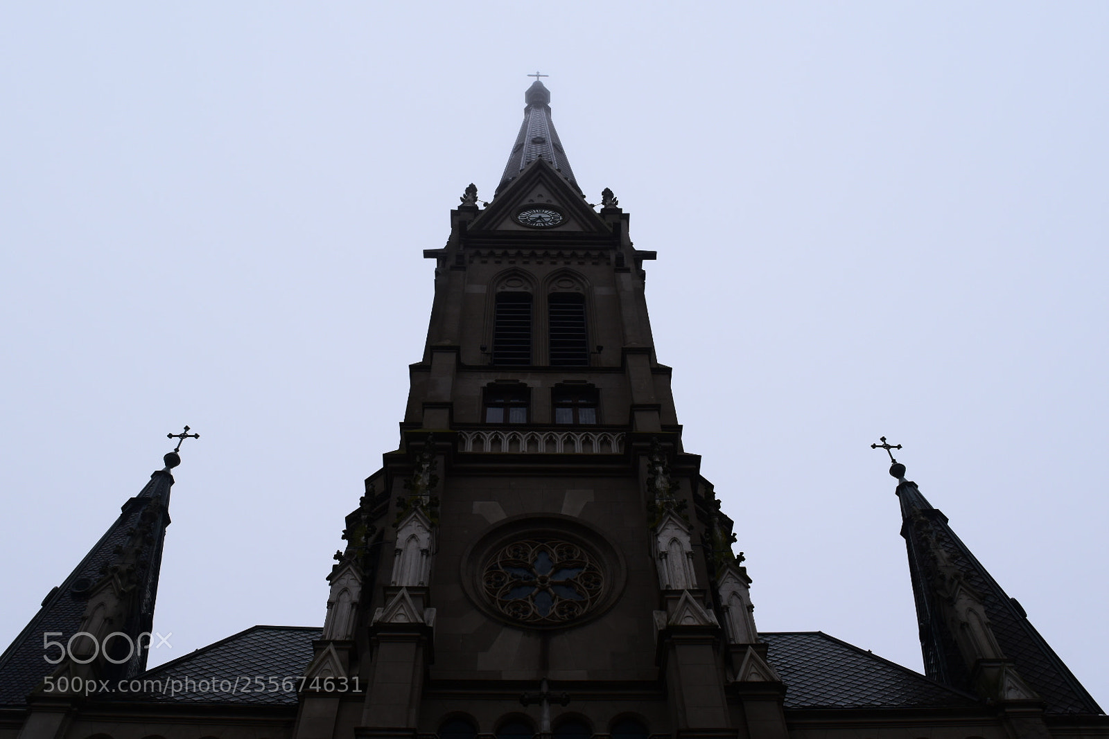 Nikon D5500 sample photo. Untitled photography