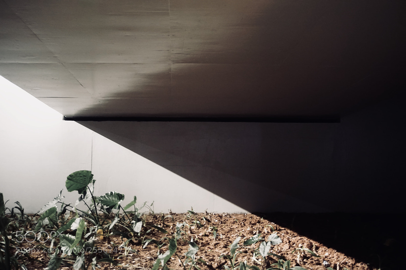 Sony a6000 sample photo. Wait photography