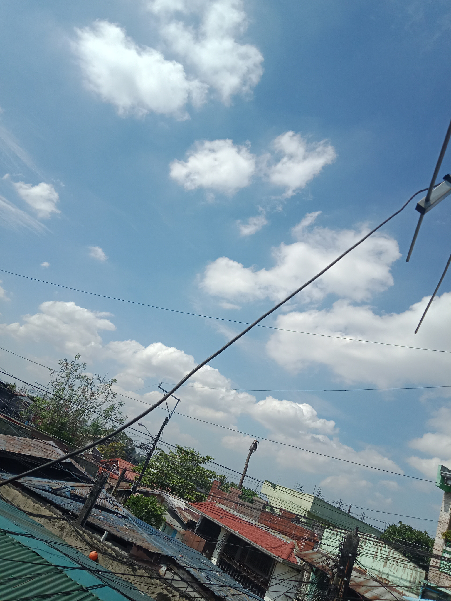 OPPO CPH1729 sample photo. 9:16 am view... photography
