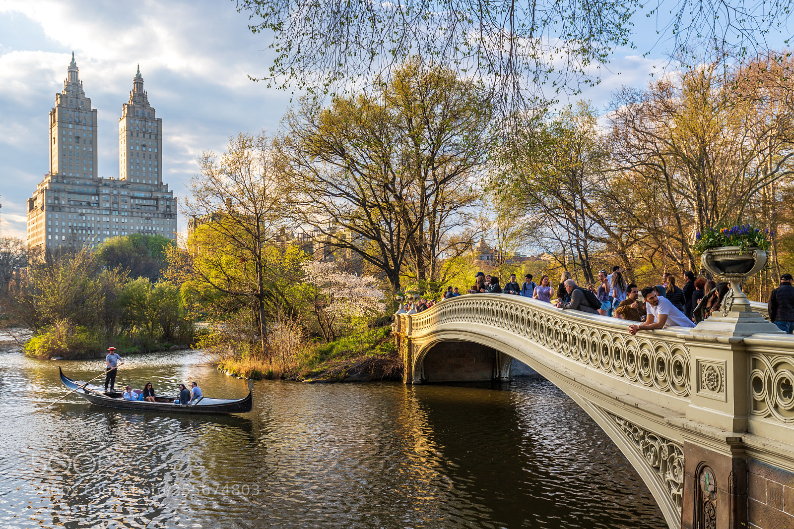 Canon EOS 6D Mark II sample photo. Spring in new york photography