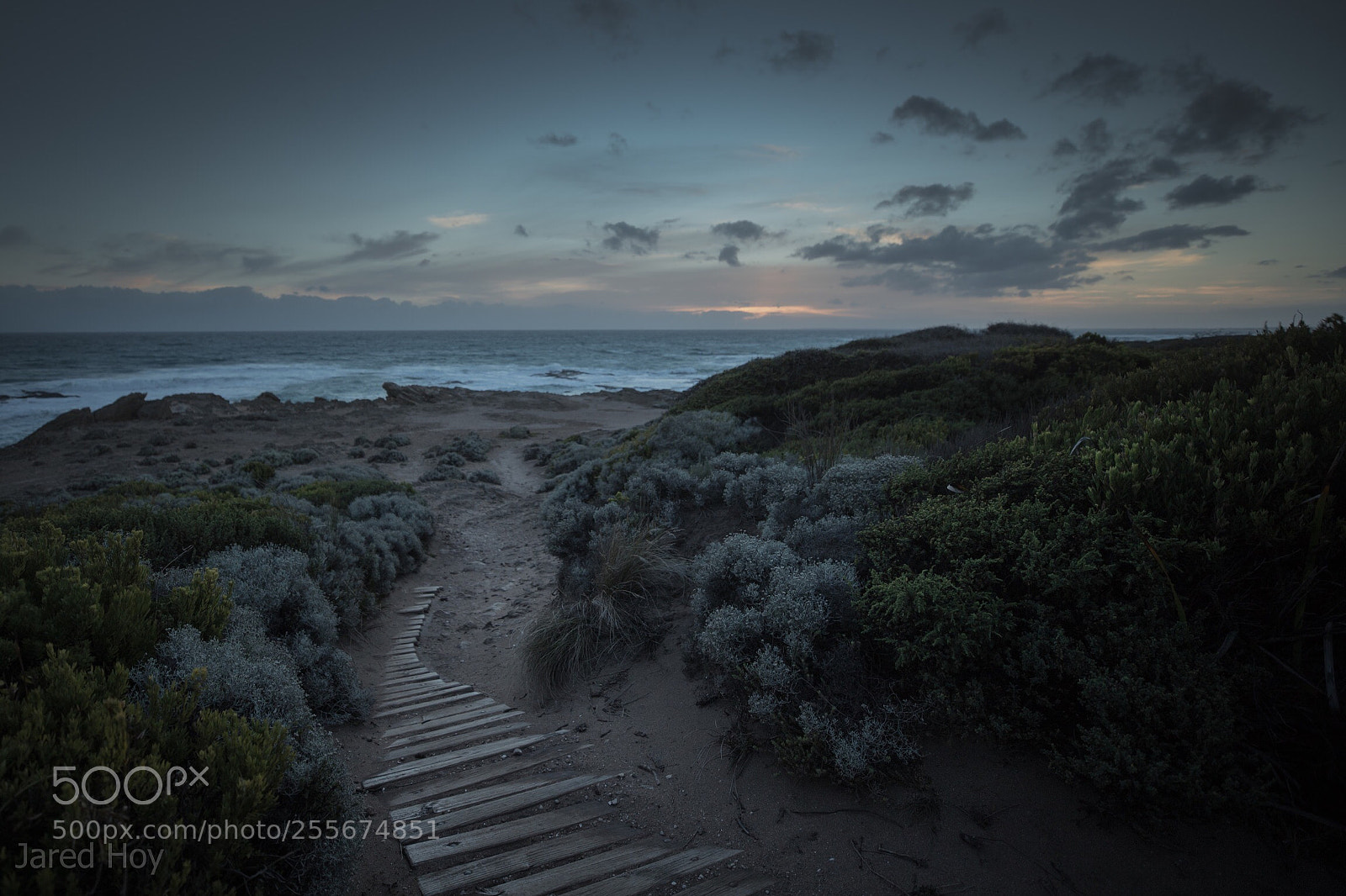 Canon EOS 6D Mark II sample photo. Tracks to the ocean photography