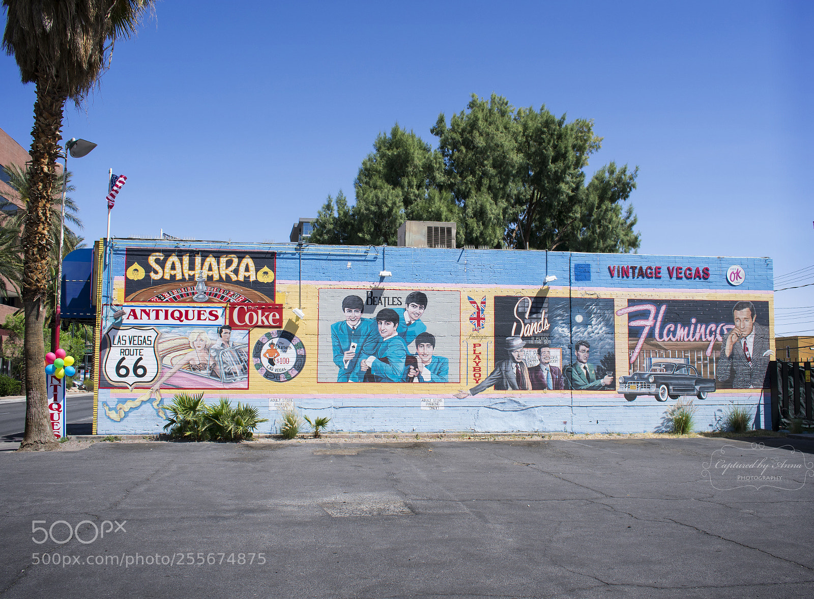 Nikon D3400 sample photo. Street arts photography