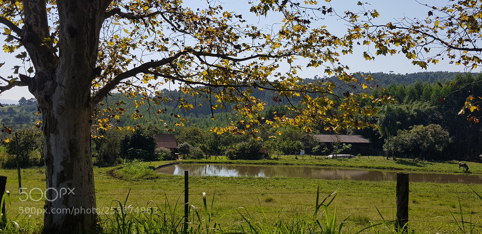 Samsung Galaxy S8 sample photo. Presidente lucena - rs photography