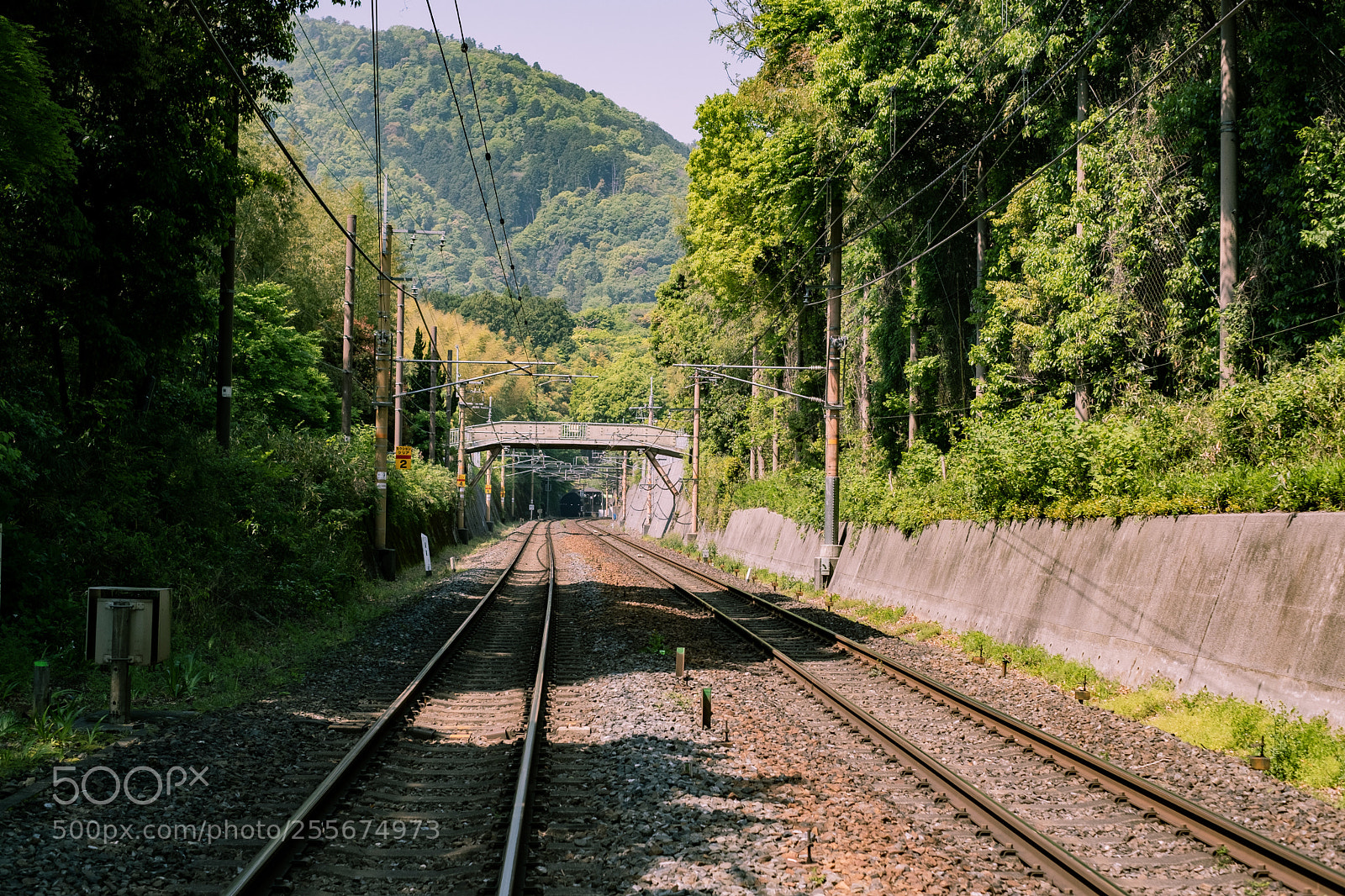 Fujifilm X-T20 sample photo. Tracks photography